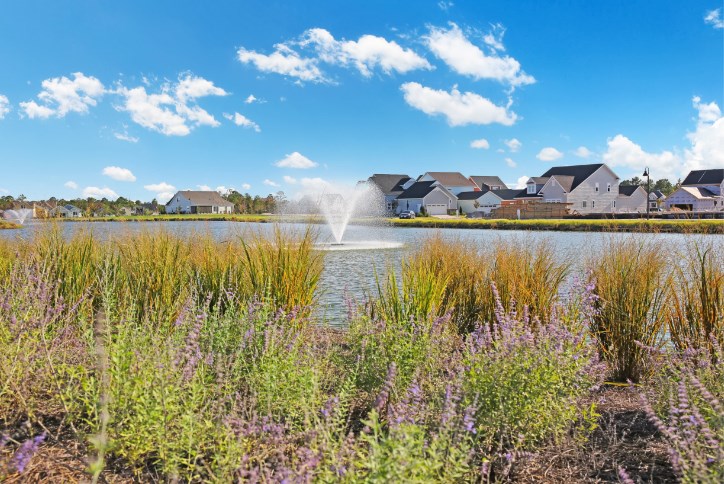 Lakefront Homes