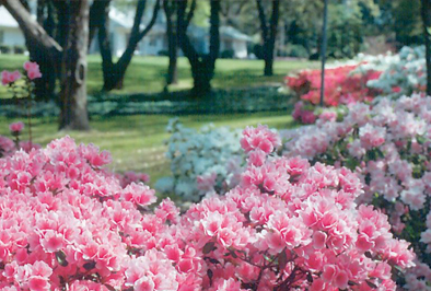 park in Wilmington, North Carolina