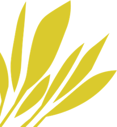 brand illustration