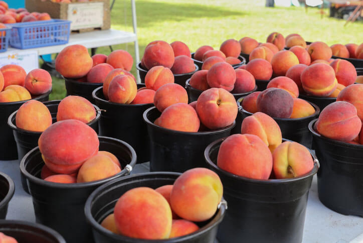 baskets of fresh peaches