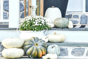 White Pumpkins