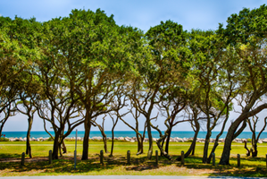 Fort Fisher State Historic Site