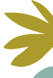 Brand Illustration