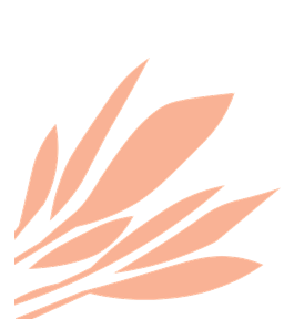 brand illustration