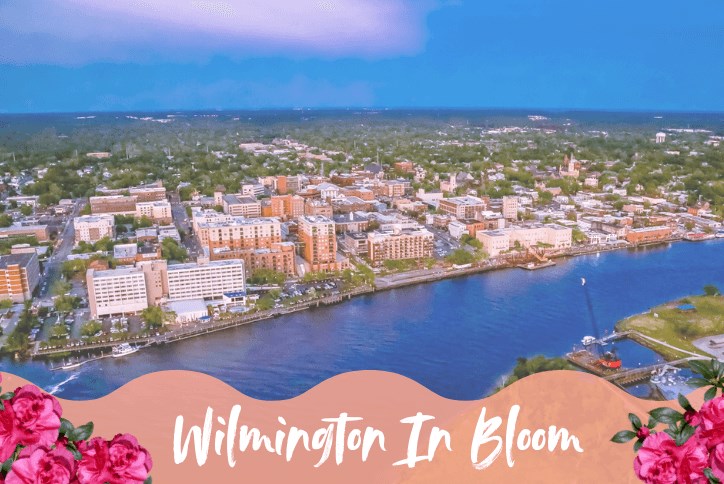 Wilmington in Bloom.png